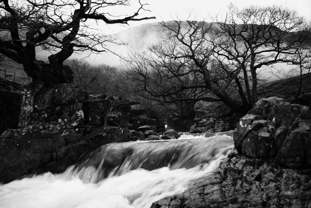 borroughdale