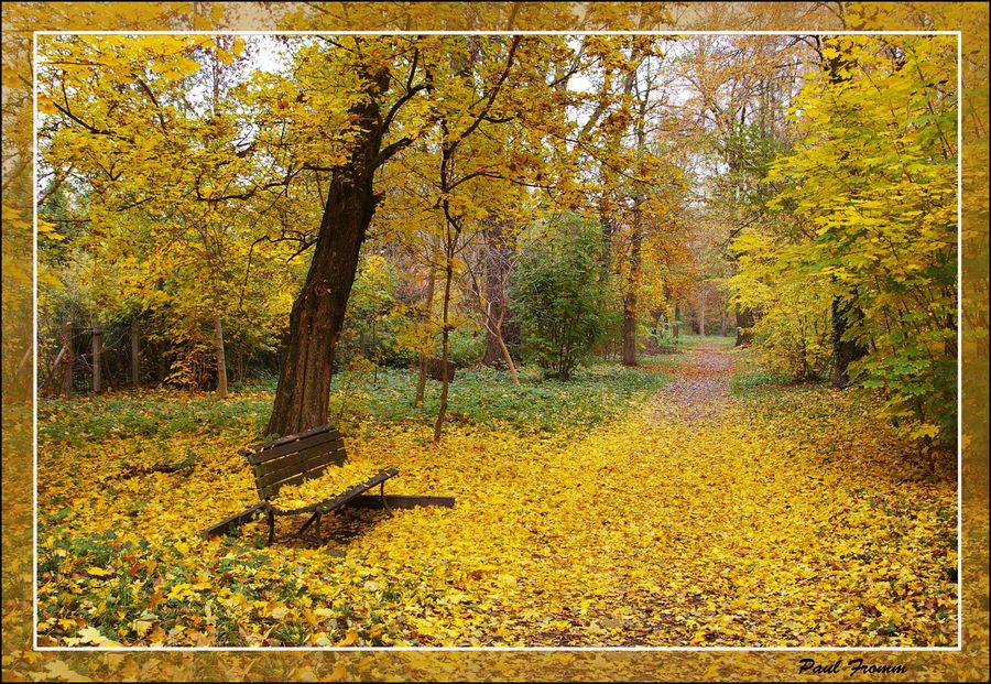 Borsdorf, der alte Park