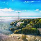 Borth in Wales