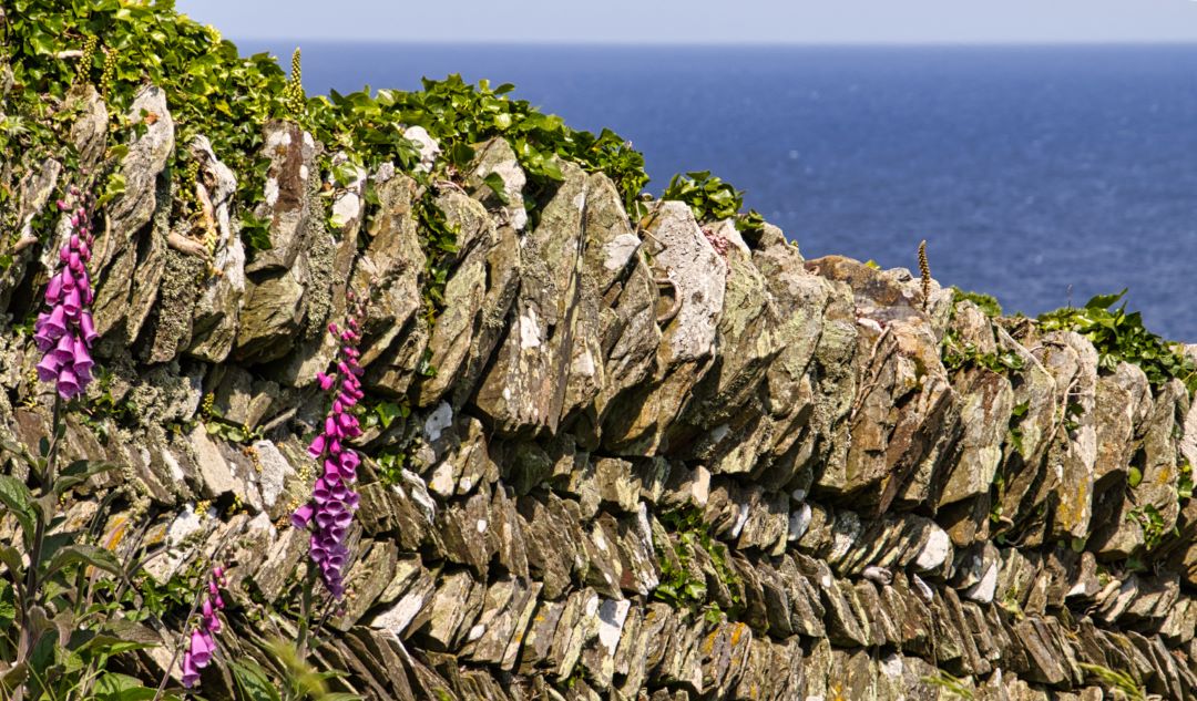 Boscastle_SouthCoastPath