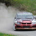 Bosch Rallye 2010