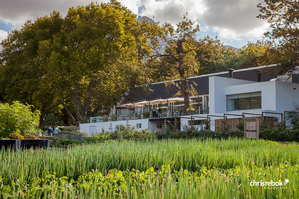 Boschendal Wine Estate