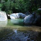 Bosco di Pantaleo ( CA )