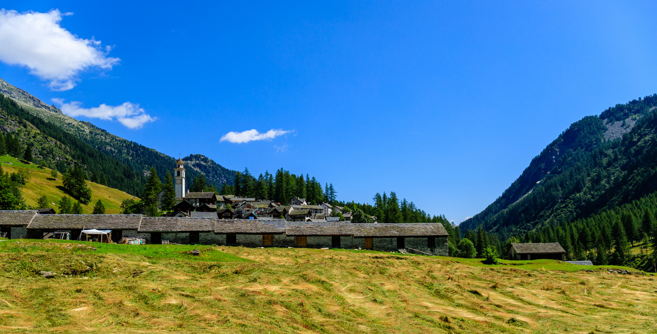 Bosco Gurin Foto & Bild europe, natur, schweiz & liechtenstein Bilder