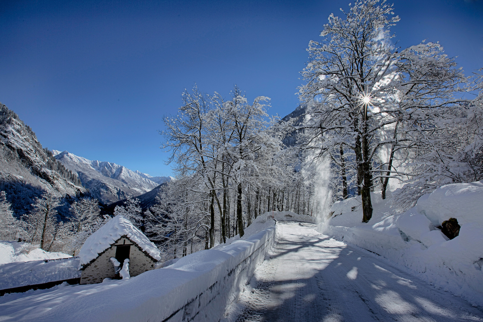 bosco gurin neve