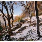 Bosco innevato, Castelveccana