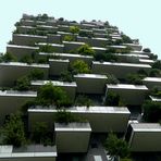 Bosco verticale - 2