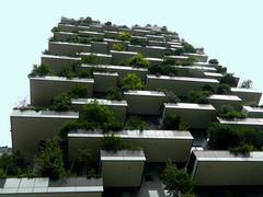 Bosco verticale - 2