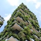 Bosco Verticale | Arch. S. Boeri | Milano