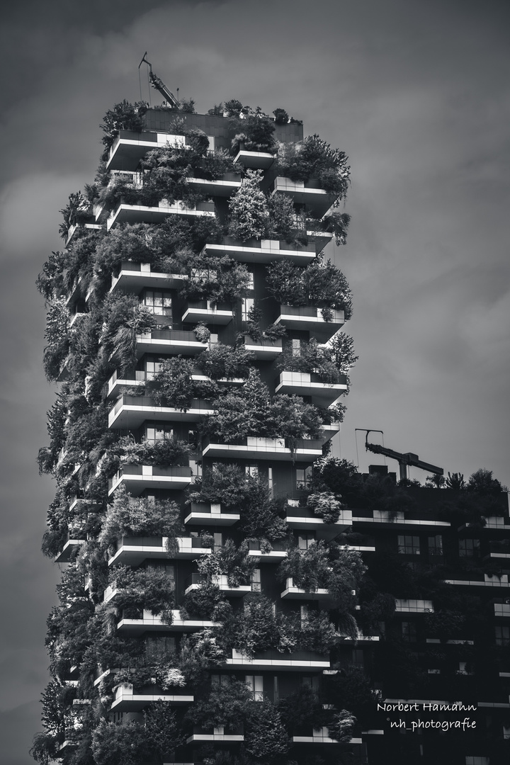 BOSCO VERTICALE I NOVEMBER 2022