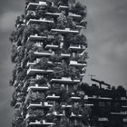 BOSCO VERTICALE I NOVEMBER 2022