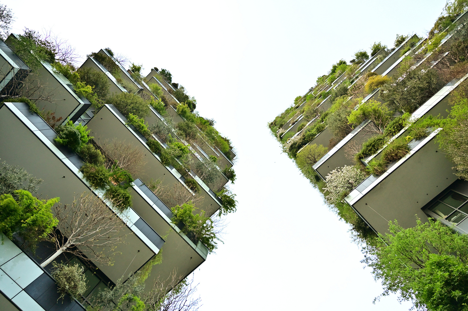 Bosco Verticale in Mailand oder "Edelforst für Besserverdienende"