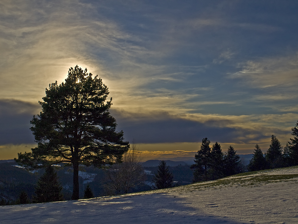 Bosensteiner Heide mit Grand Ballon