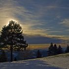 Bosensteiner Heide mit Grand Ballon