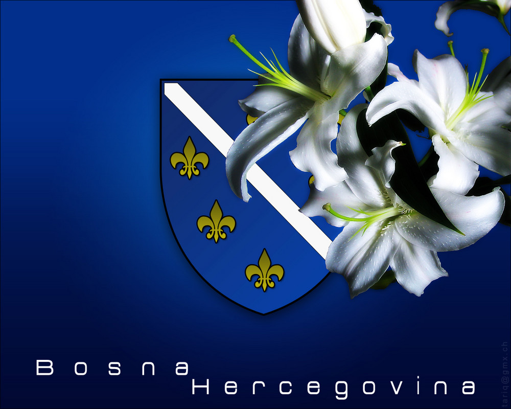 Bosna