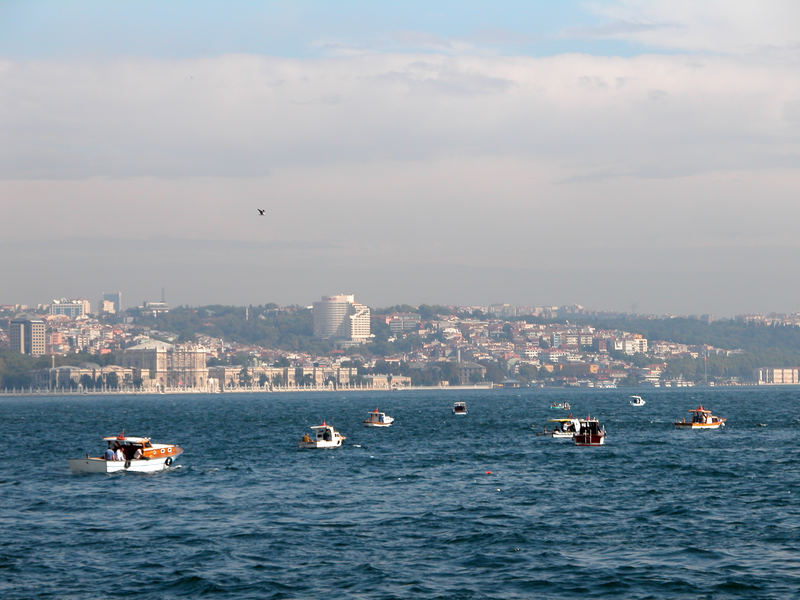 Bosphorus's tinies..