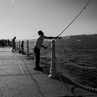 Bosporus Angler...