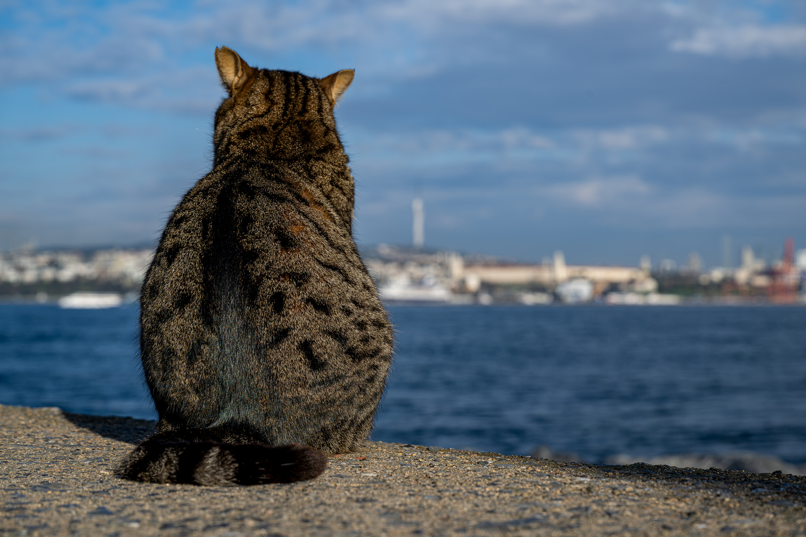 Bosporus-Blick