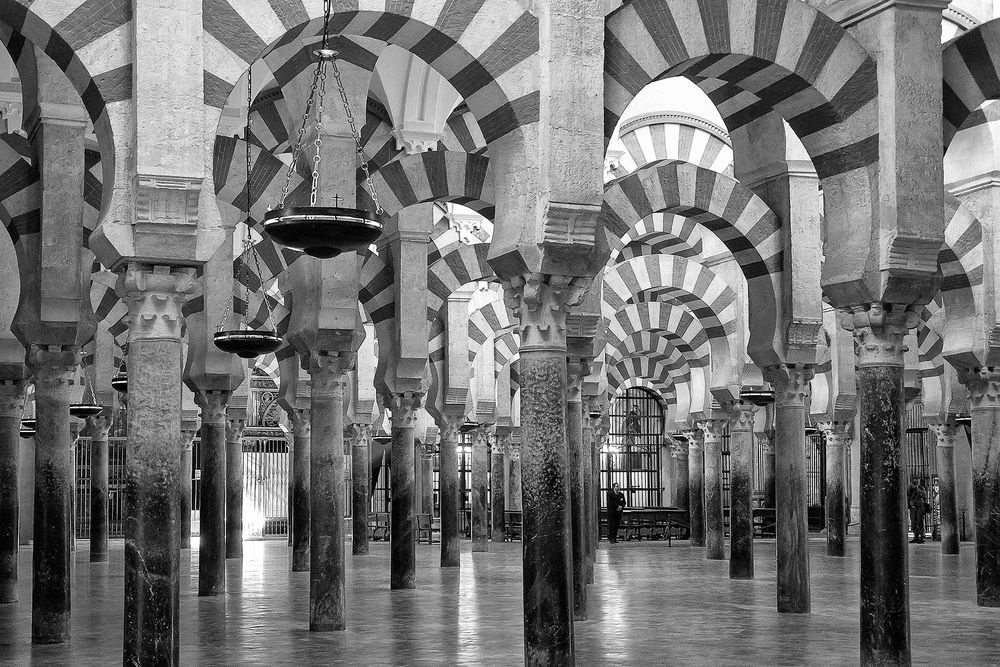 Bosque de columnas