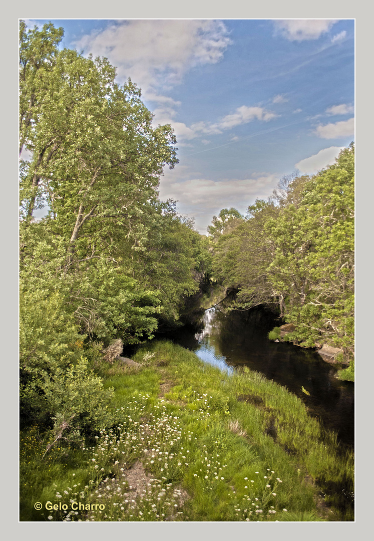 Bosque de galería