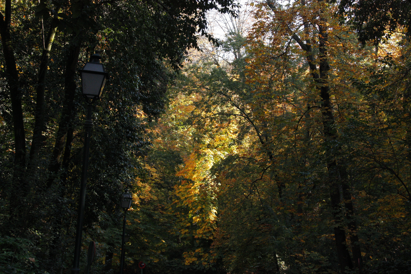 Bosque de la Alhambra