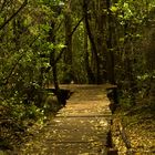 Bosque De Las Hadas - El Bolson -Argentina