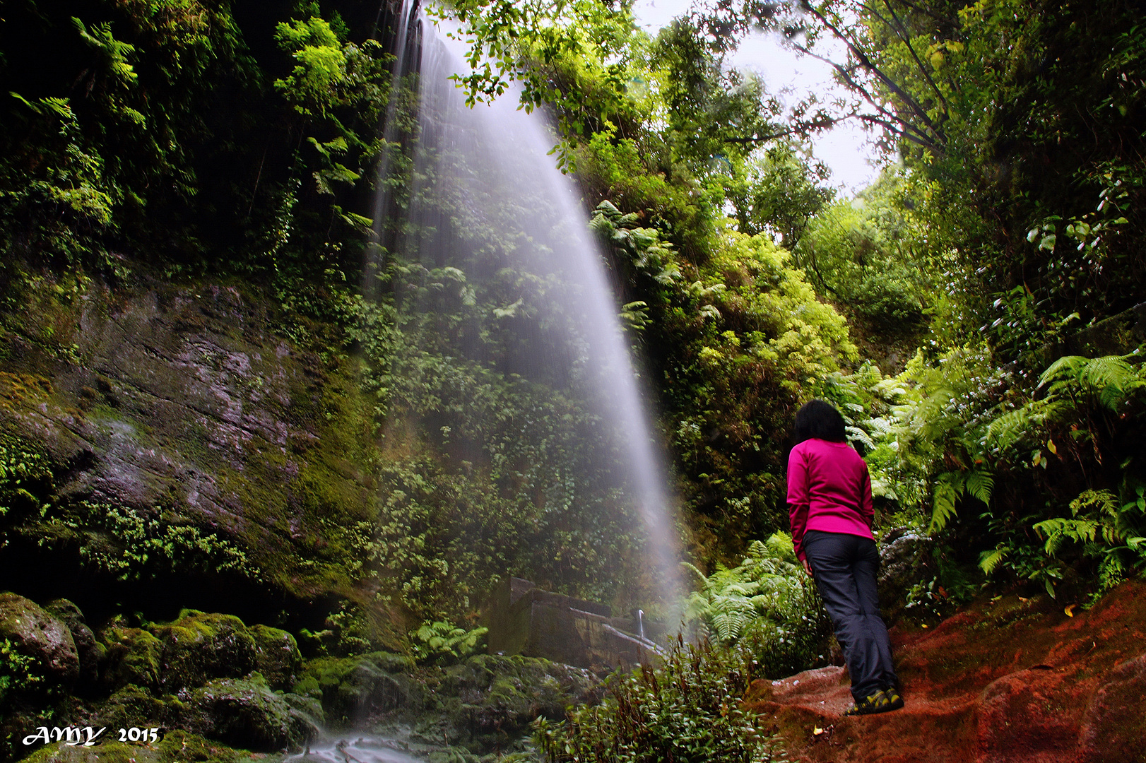 BOSQUE DE LOS TILOS (BARRANCO DEL AGUA). Dedicada a ANA MARIA REYES VERGARA