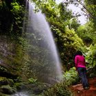 BOSQUE DE LOS TILOS (BARRANCO DEL AGUA). Dedicada a ANA MARIA REYES VERGARA