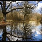 Bosque de Orgi