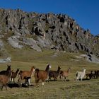 Bosque de Piedras Huayllay.