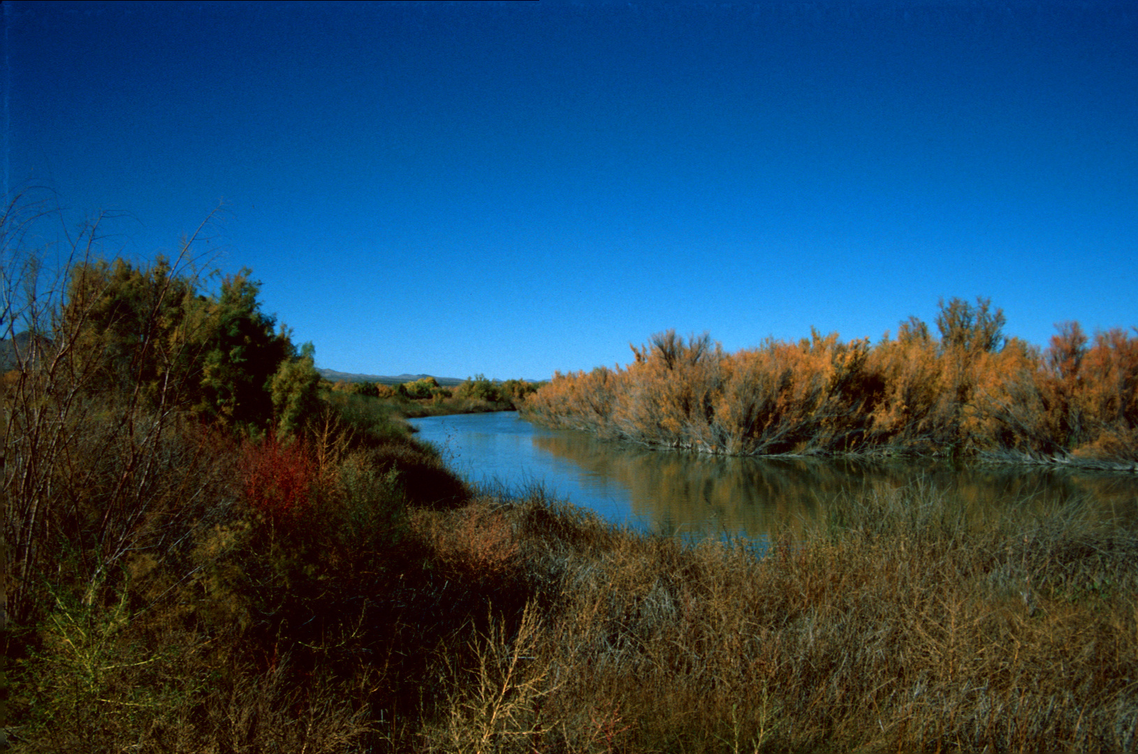 Bosque del Apache National Wildlife Refuge, NM - 1989