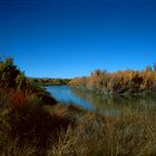 Bosque del Apache National Wildlife Refuge, NM - 1989