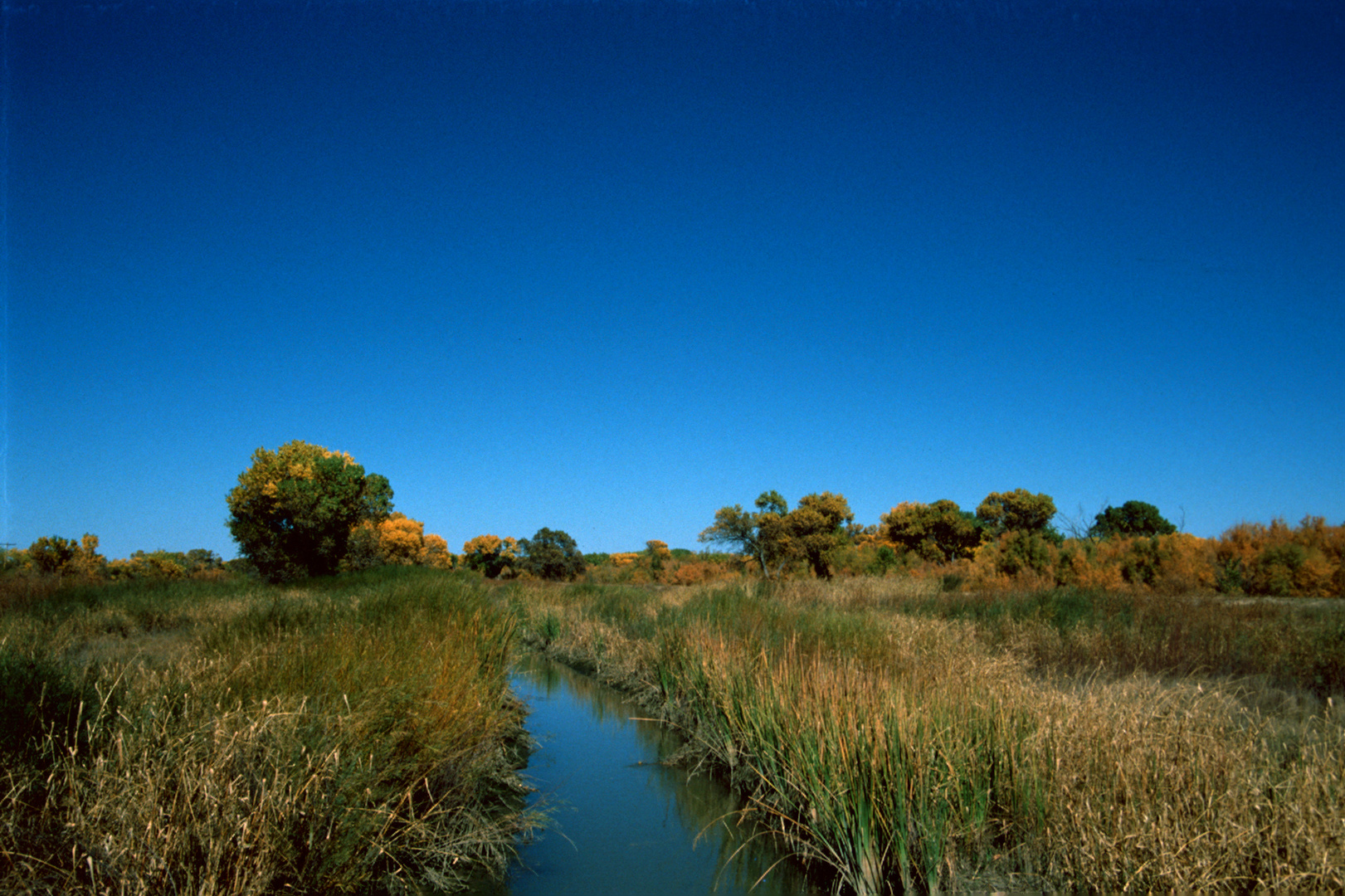 Bosque del Apache National Wildlife Refuge, NM - 1989