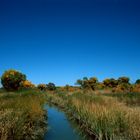 Bosque del Apache National Wildlife Refuge, NM - 1989