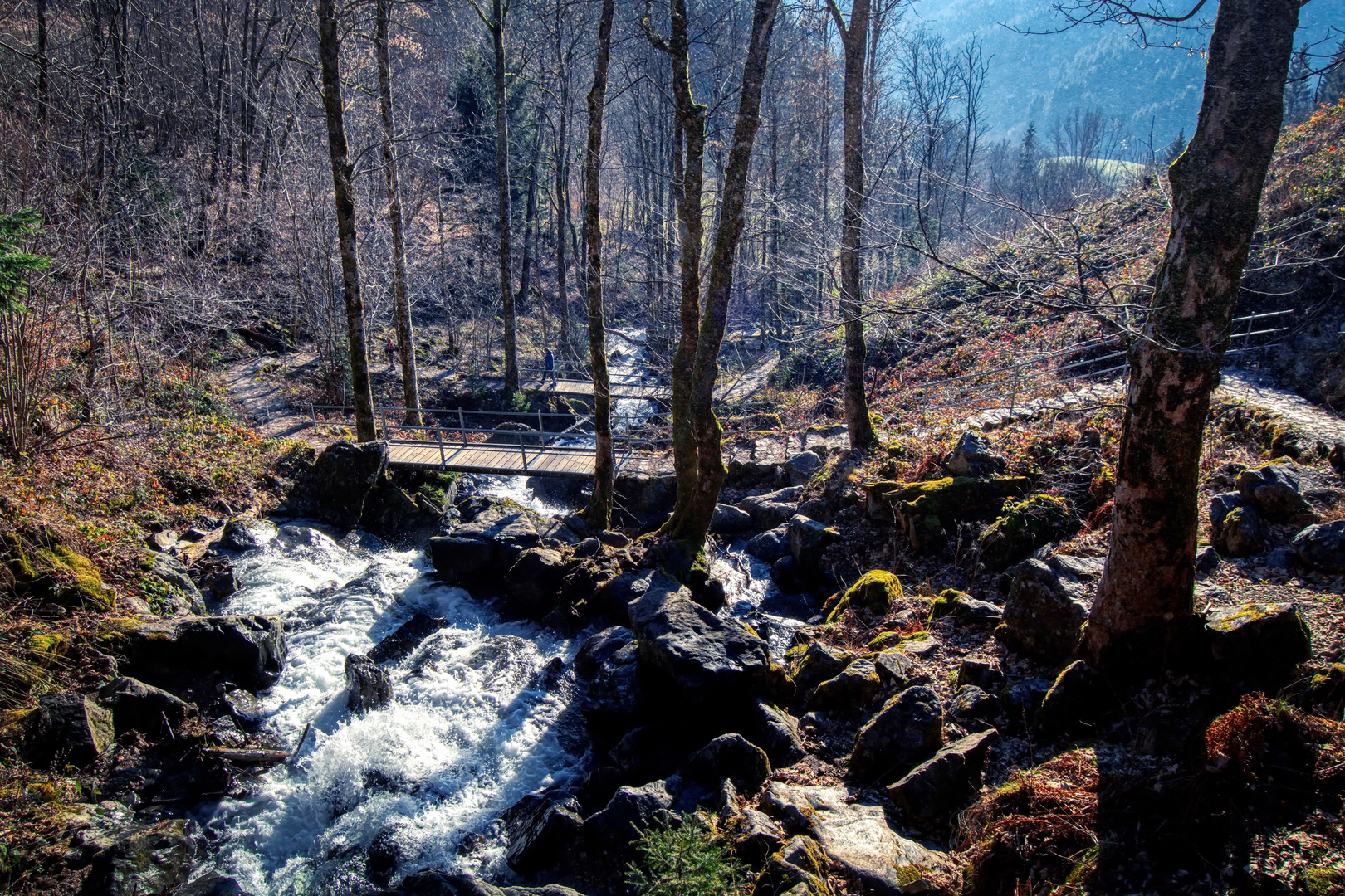 Bosque Encantado