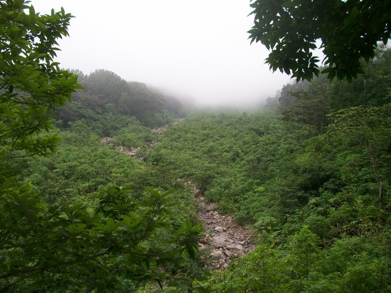 Bosque Nuboso en Finca la Florida, Pochuta, CHimaltenango, Guatemala