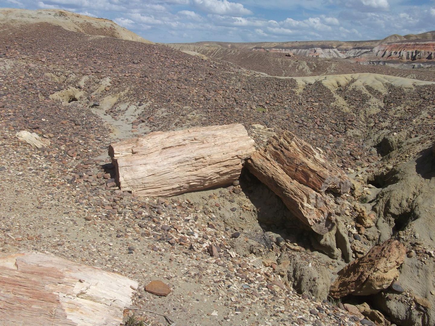 Bosque Petrificado - Sarmiento Chubut