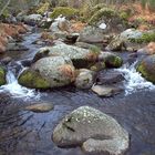 BOSQUE, RISCOS Y RIO