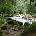 BOSQUE UCUMARI A LA ORILLA DEL RIO OTUN