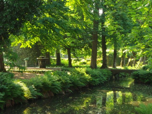 Bosques de Holanda