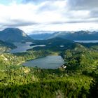 BOSQUES EN LOS ANDES