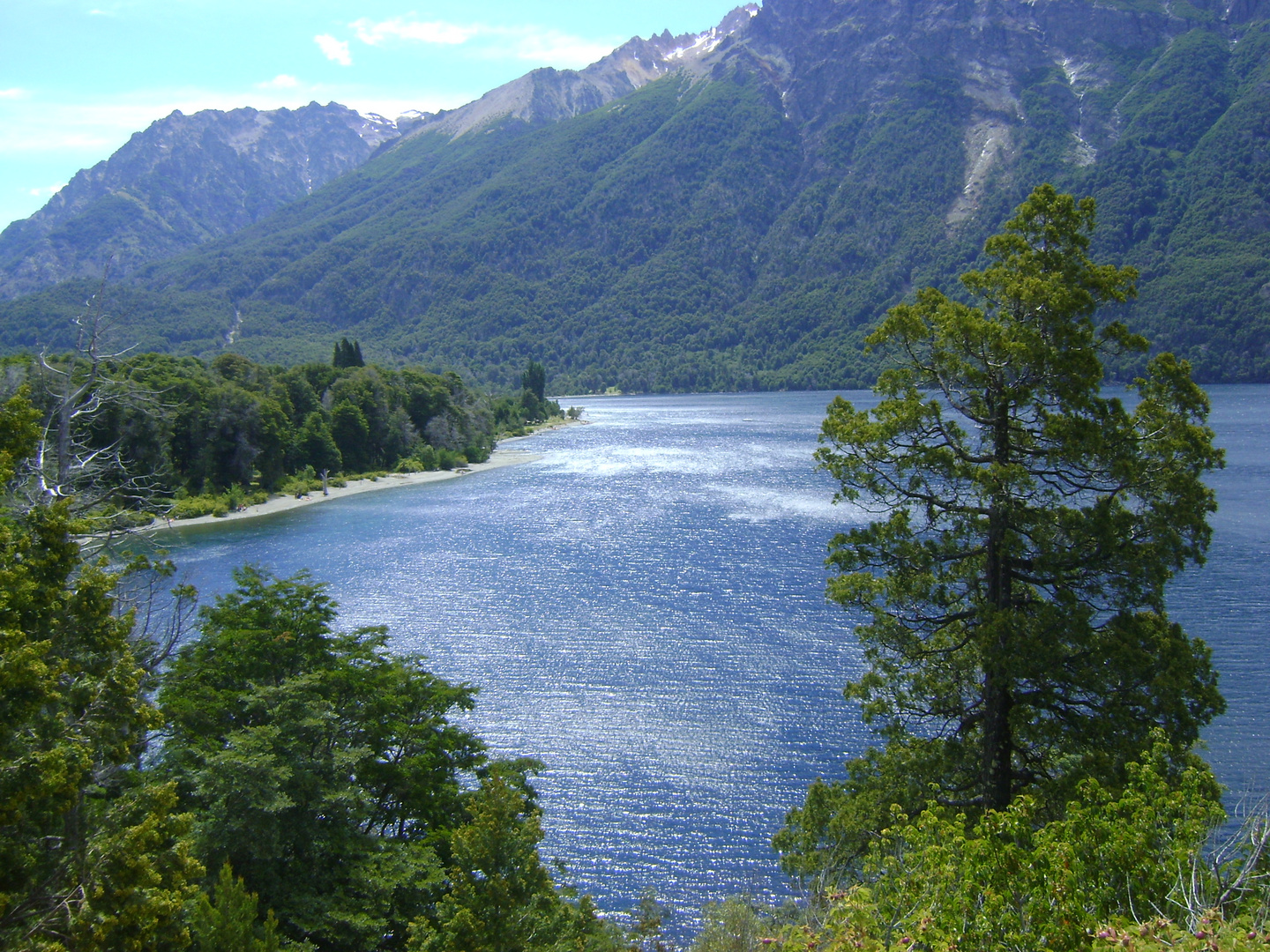 Bosques y lagos Patagonicos