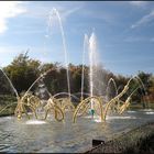 Bosquet du Théâtre d'Eau - Versailles