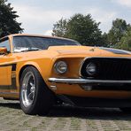 Boss 302