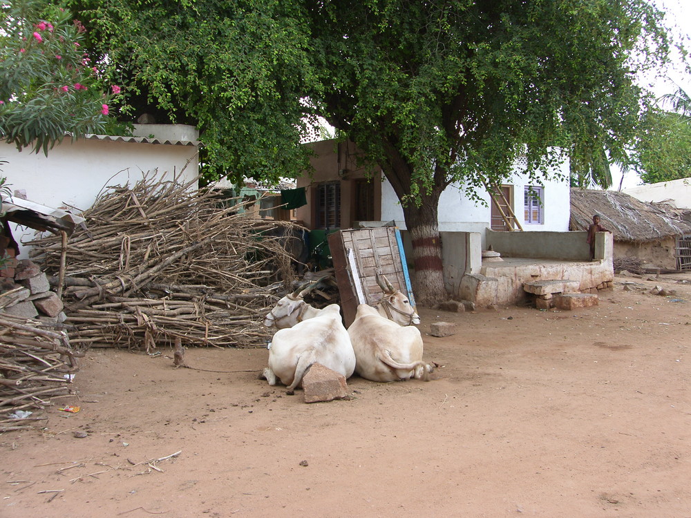 Bosse à bosse