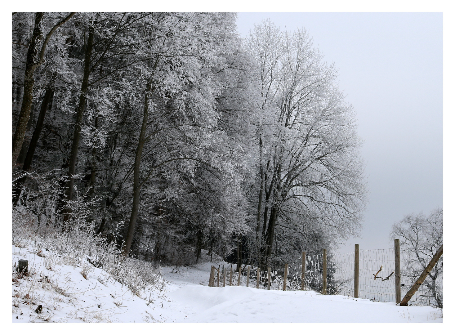 Boßler - Winter.