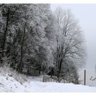 Boßler - Winter.