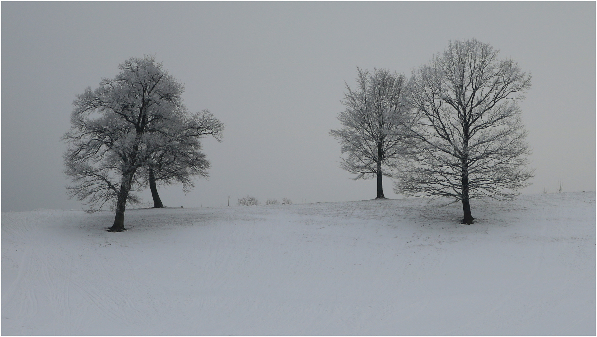 Boßler - Winter 1