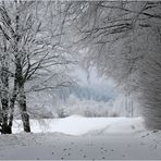 Boßler - Winter 2