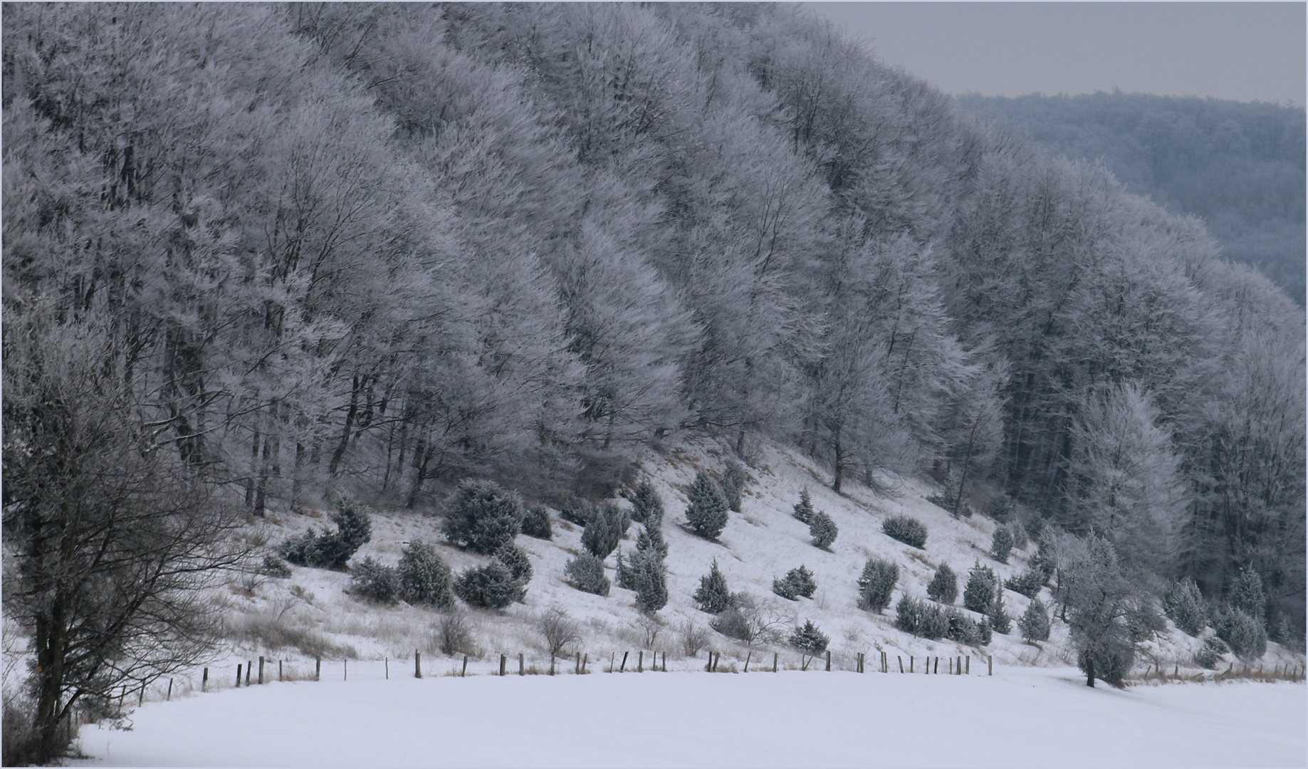 Boßler - Winter 3